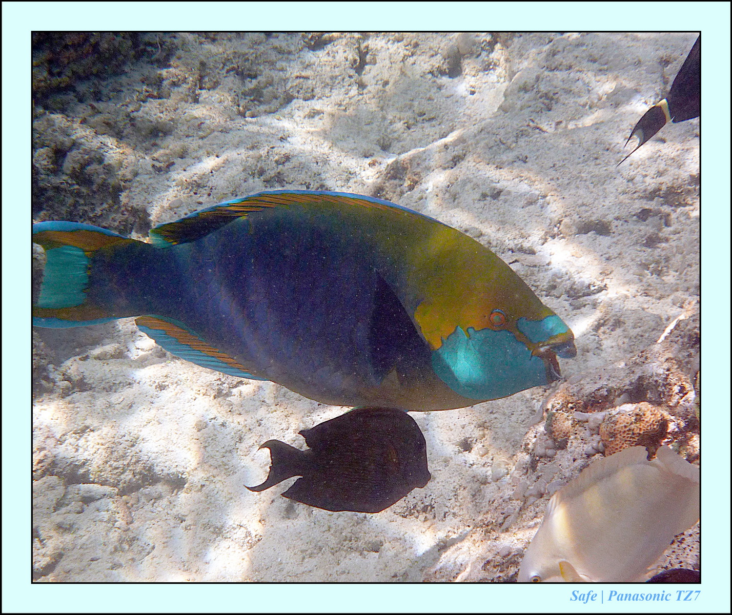 2012 - 07 - Gili - 90